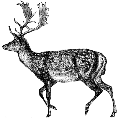 Author's profile